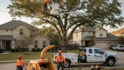 Professional tree removal service in Troy, MI safely cutting and clearing hazardous trees
